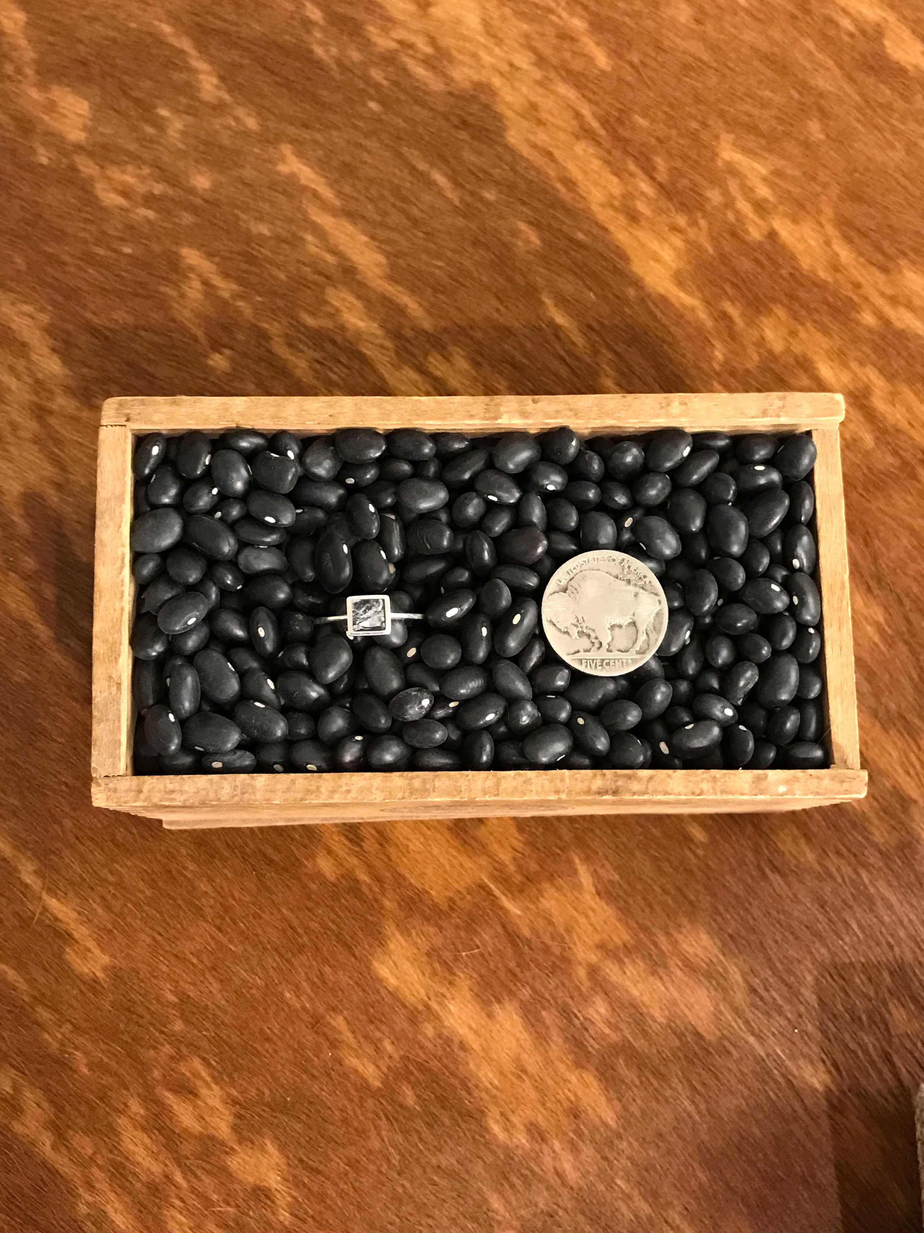 The Inlay Collection Square White Buffalo Ring-Rings-Calli Co., Turquoise and Silver Jewelry, Native American Handmade, Zuni Tribe, Navajo Tribe, Brock Texas