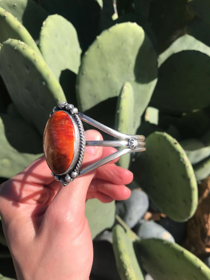 The Edens Isle Orange Spiny Cuff, 2-Bracelets & Cuffs-Calli Co., Turquoise and Silver Jewelry, Native American Handmade, Zuni Tribe, Navajo Tribe, Brock Texas