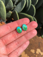 The Sonoran Gold Studs, 6-Earrings-Calli Co., Turquoise and Silver Jewelry, Native American Handmade, Zuni Tribe, Navajo Tribe, Brock Texas