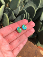 The Sonoran Gold Studs, 8-Earrings-Calli Co., Turquoise and Silver Jewelry, Native American Handmade, Zuni Tribe, Navajo Tribe, Brock Texas