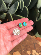 The Sonoran Gold Studs, 8-Earrings-Calli Co., Turquoise and Silver Jewelry, Native American Handmade, Zuni Tribe, Navajo Tribe, Brock Texas