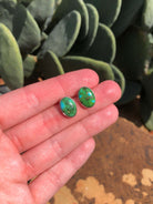 The Sonoran Gold Studs, 10-Earrings-Calli Co., Turquoise and Silver Jewelry, Native American Handmade, Zuni Tribe, Navajo Tribe, Brock Texas