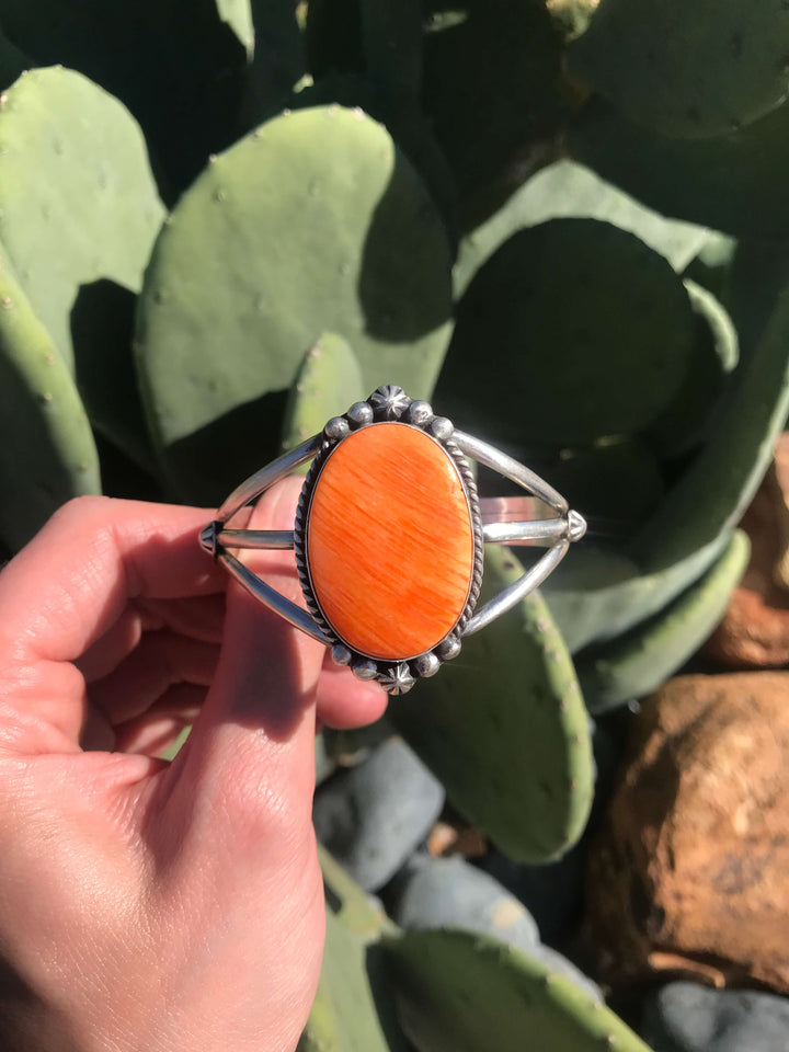 The Edens Isle Orange Spiny Cuff, 1-Bracelets & Cuffs-Calli Co., Turquoise and Silver Jewelry, Native American Handmade, Zuni Tribe, Navajo Tribe, Brock Texas