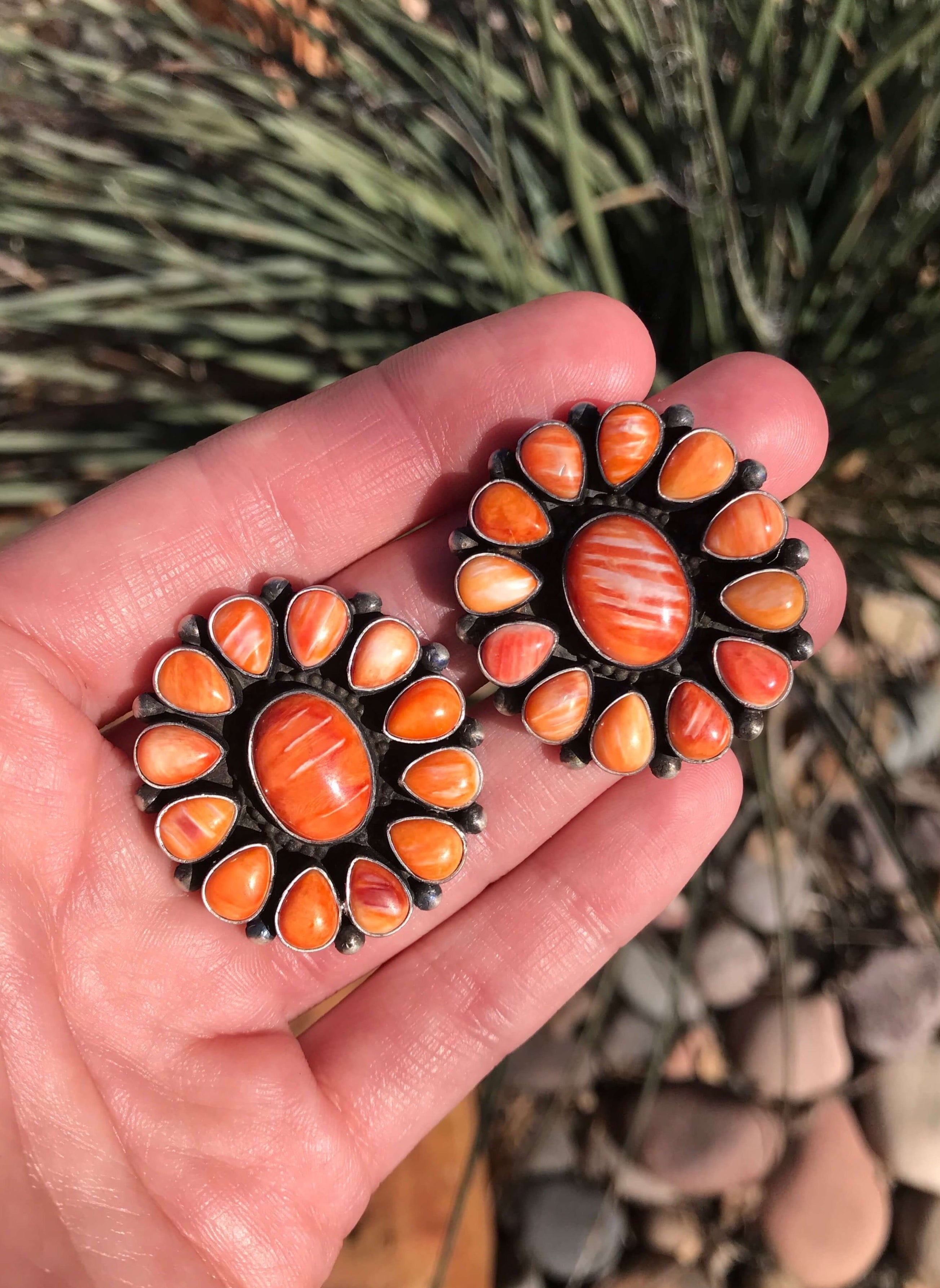 The Spiny Cluster Earrings, 2-Earrings-Calli Co., Turquoise and Silver Jewelry, Native American Handmade, Zuni Tribe, Navajo Tribe, Brock Texas