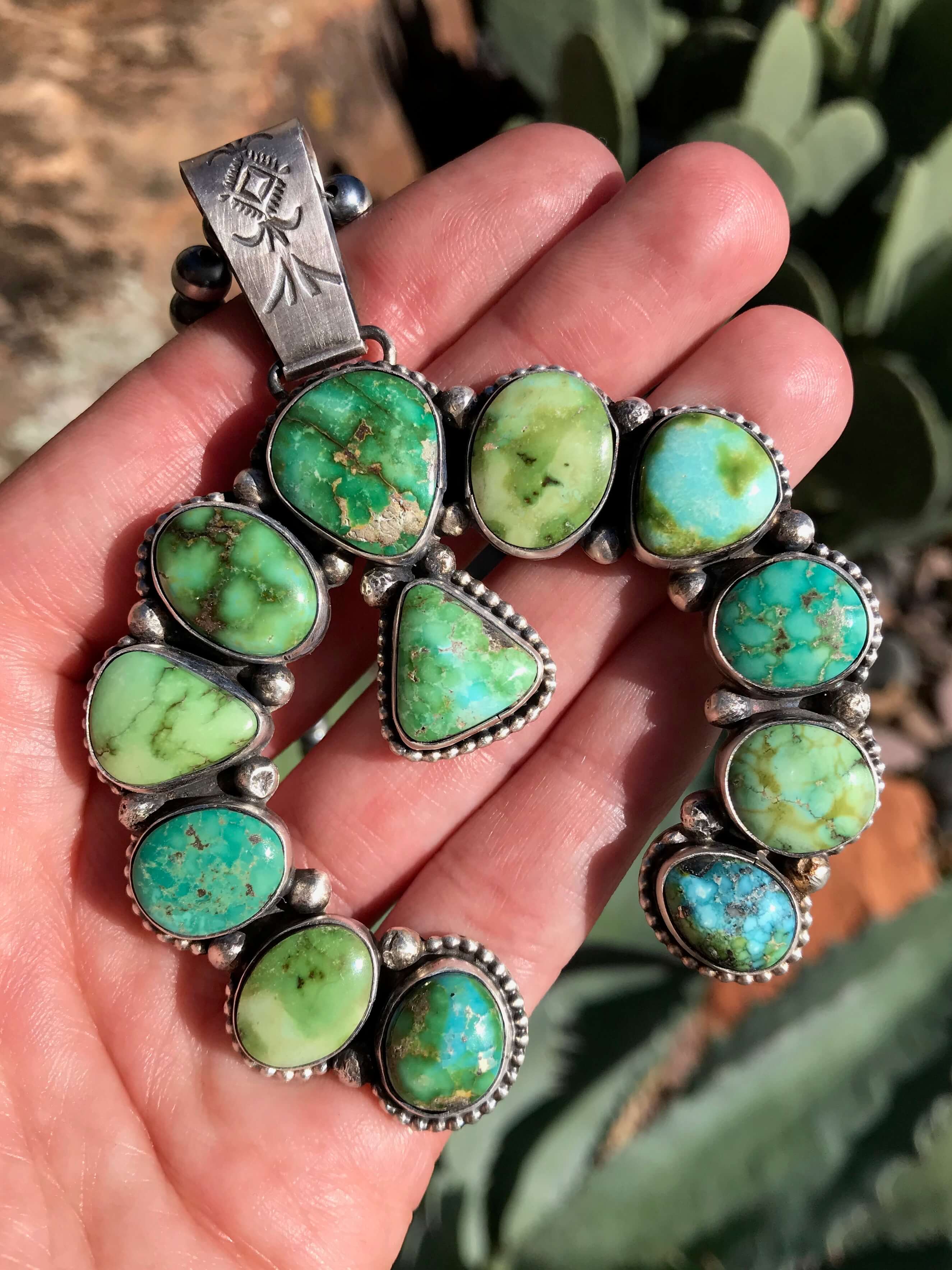 Sonoran turquoise deals jewelry